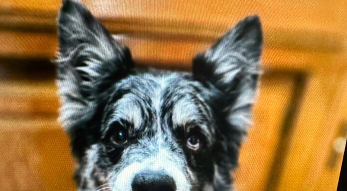 Making Time STAY Still