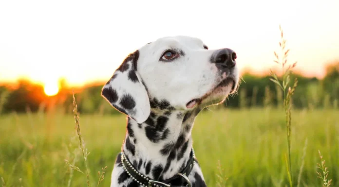 When was the last time?