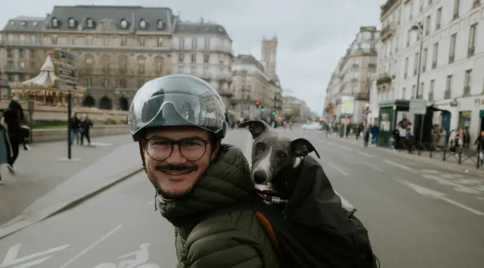 Traveling Companions