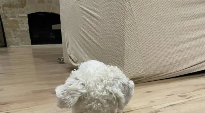 Pushing Those Buttons